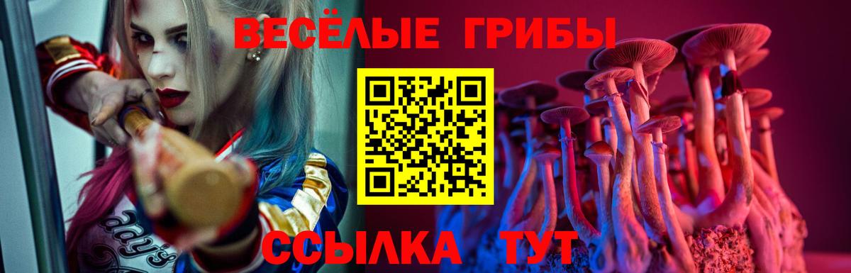 Каменск-Шахтинский  Галлюциногенные грибы Psilocybine cubensis  Вход с VPN 