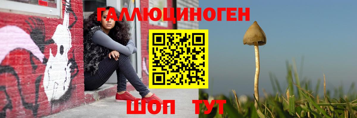 Псилоцибиновые грибы ЛСД Каменск-Шахтинский